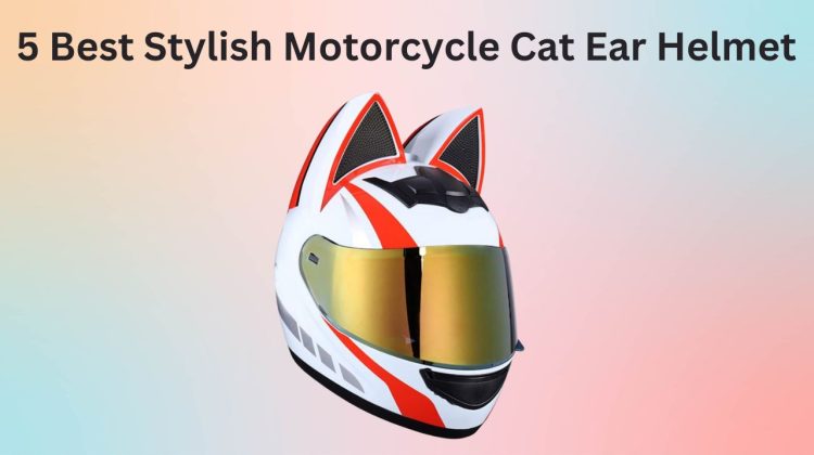 cat ear helmet