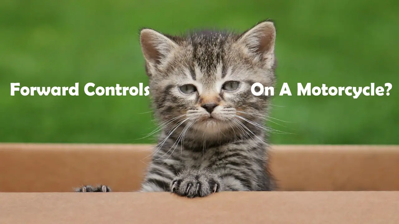 What are Forward Controls On A Motorcycle?