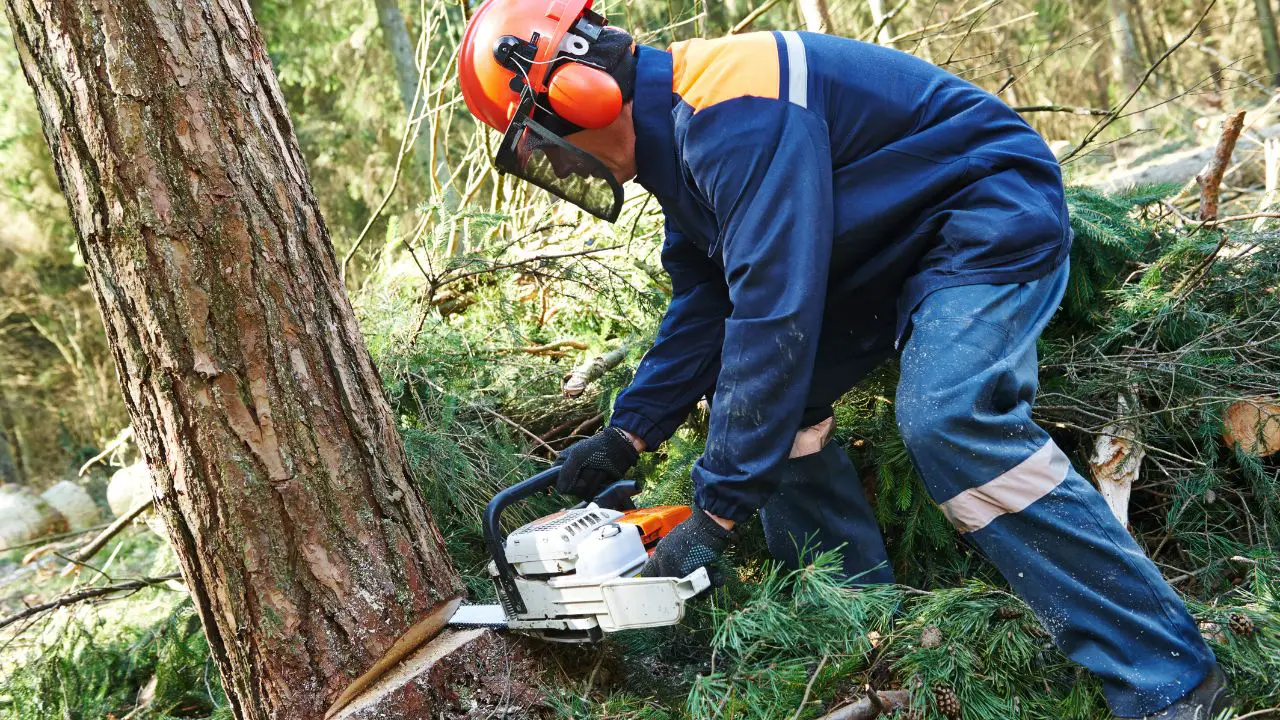 10 Best Chainsaw Helmet Reviews in 2023