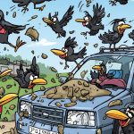 What-Does-It Mean When Birds-Poop-on-Your-Car