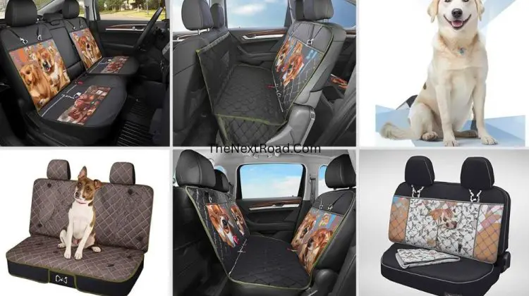 Best Car Seat Covers For Dogs